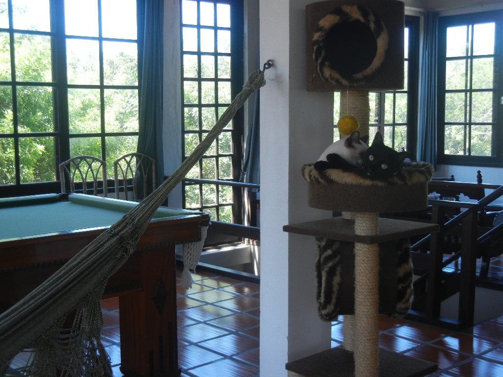 The Cats' House Hotel Florianopolis Luaran gambar