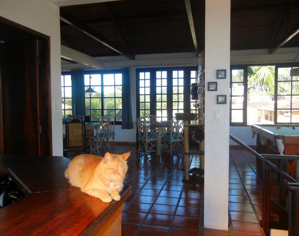 The Cats' House Hotel Florianopolis Luaran gambar