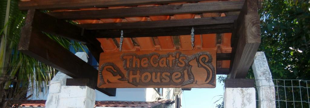 The Cats' House Hotel Florianopolis Luaran gambar