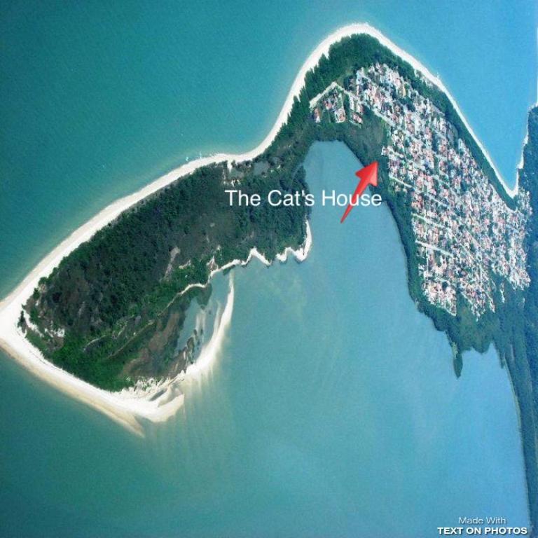 The Cats' House Hotel Florianopolis Luaran gambar